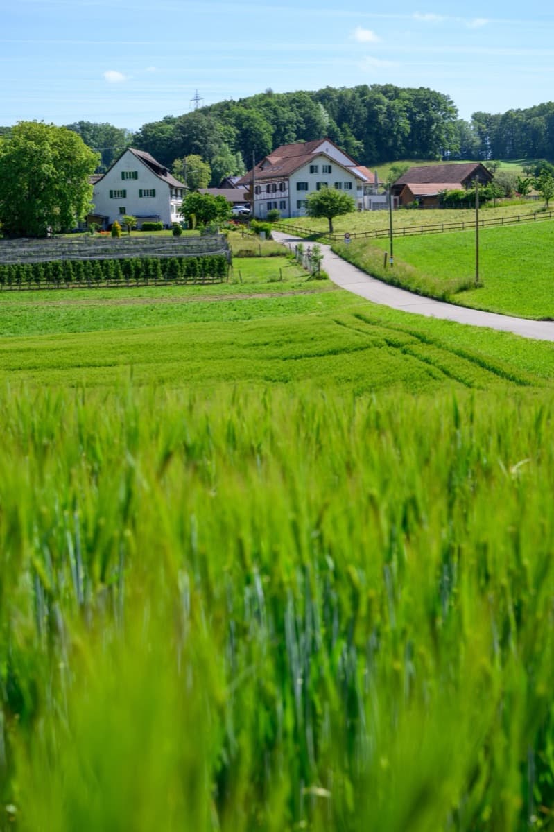 Idyll – Bild 4
